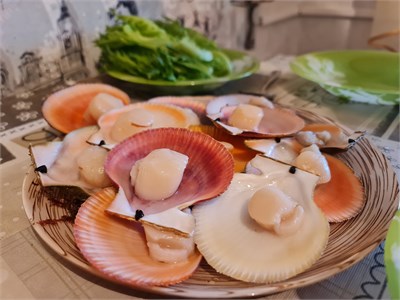 Фотоуслуги в помещении 5102